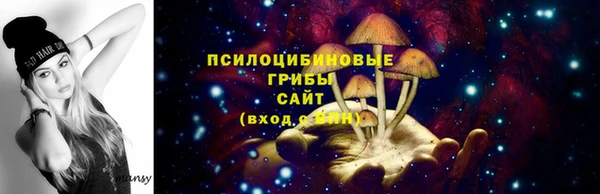 прущая мука Алзамай