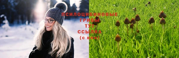 кристаллы Алексеевка
