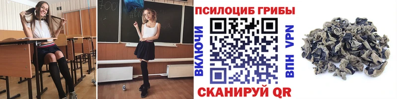 купить наркотики сайты  Приозерск  Галлюциногенные грибы Magic Shrooms 